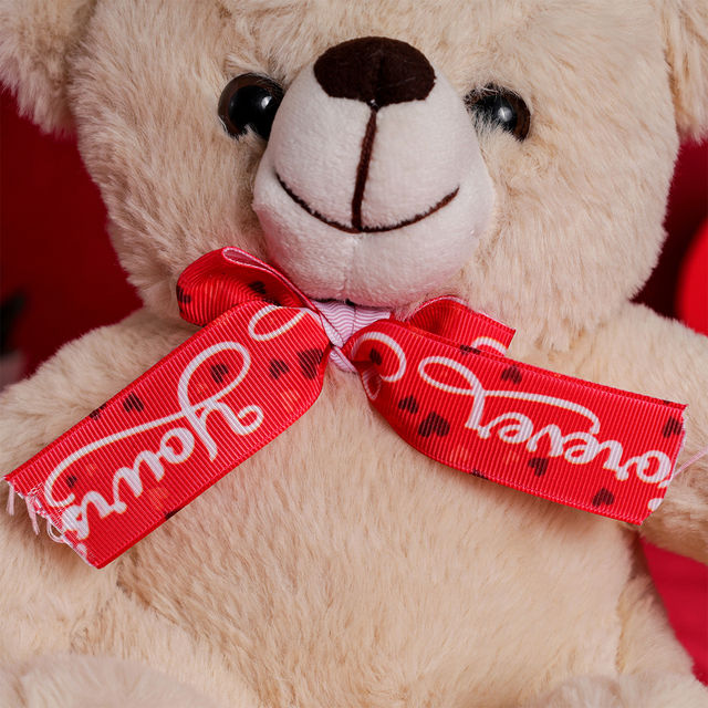 Oye Happy Mr Snuggle Bear