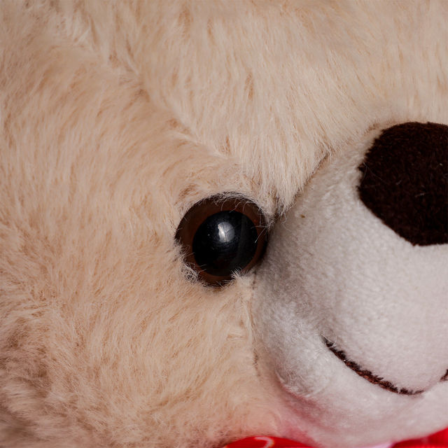 Oye Happy Mr Snuggle Bear