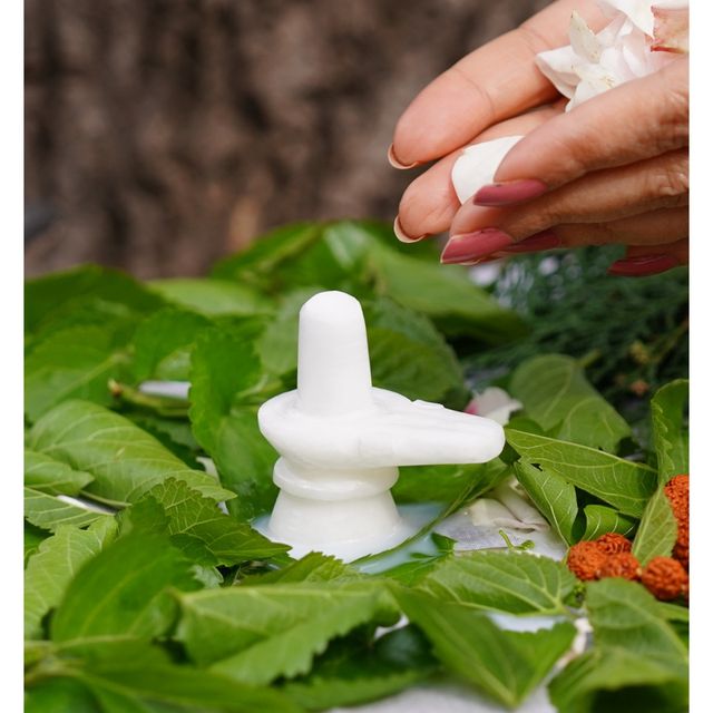Servdharm White Marble Shivling