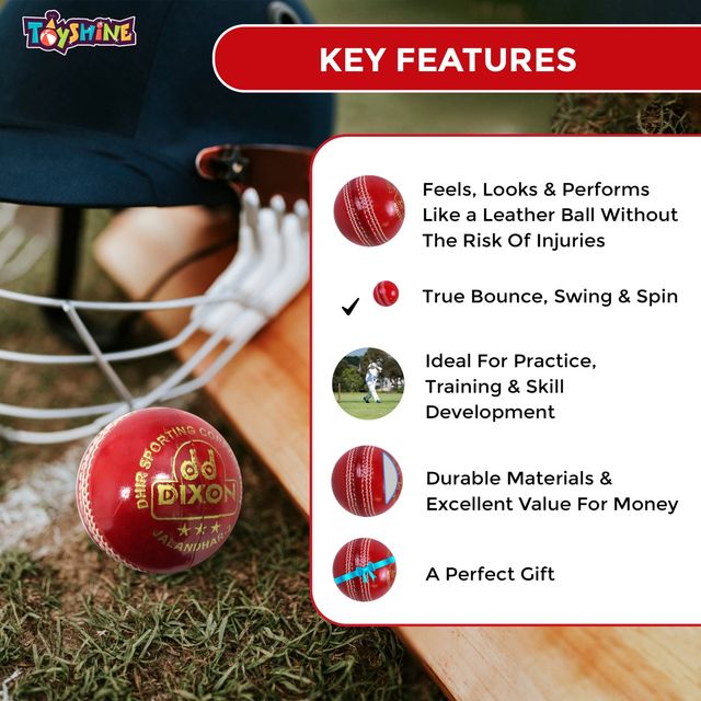 Toyshine A-Grade Leather Cricket Ball, Hand-Stitched 156g Test Match Special for MCC Regulation