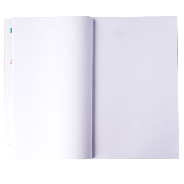 Apsara Regular Size Longbook | Unruled | Assorted | 27 Cm x 17 Cm | Pages 172