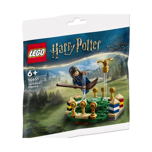 Lego Harry Potter Quidditch Practice Building Kit