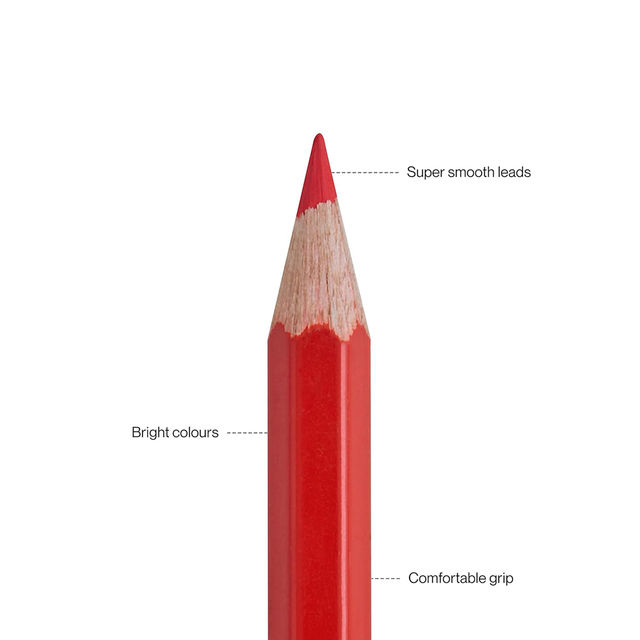 Camlin Colour Pencils Assorted Pack Of 24 Shades With Sharpener, Full Size