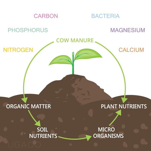 Ugaoo Cow Dung Manure Fertilizers For Plants & Home Gardening(1kg) & Ugaoo Vermicompost For Plants - Organic Fertilizer & Manure(1kg) Combo