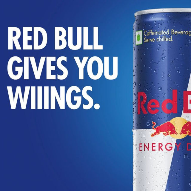 Red Bull Energy Drink 350 ml Combo