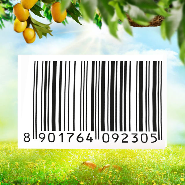 b6b05158-b6de-49cb-96a2-0fc4c2b11c9d.jpeg