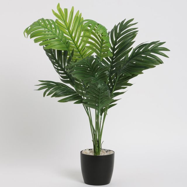 Casacraft by Pepperfry Polyester Areca Palm Artificial Plant With Pot by Arick Decor