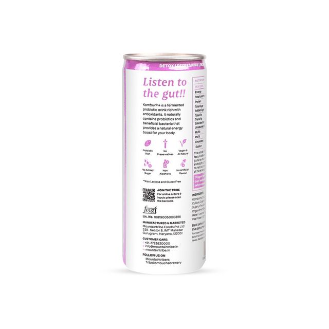 Tribe Kombucha Naturally Sparkling Probiotic Herbal Tea |Green Tea With Blue Pea & Lavender 250 ml X 2 Combo