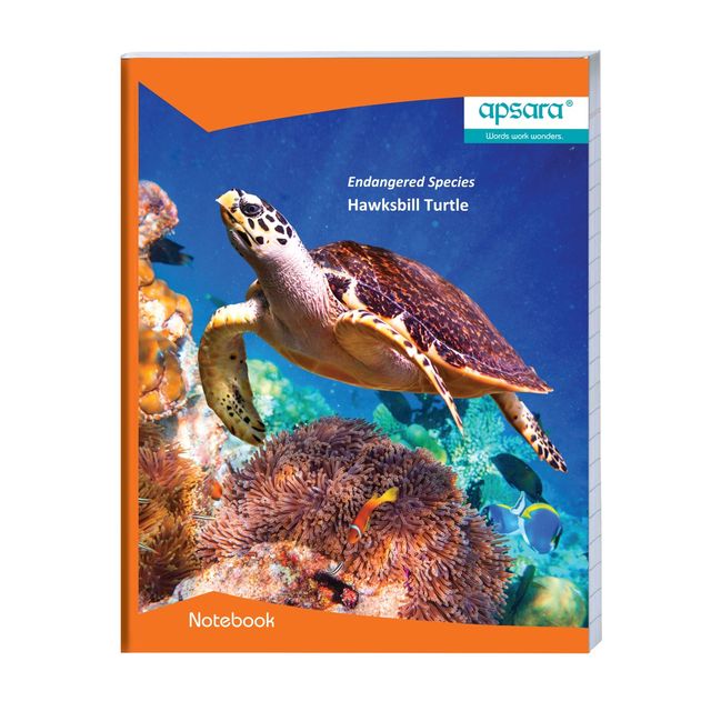 Apsara Kingsize Single Line Notebook | 24 Cm x 18 Cm Approx | Pages - 171 | Assorted