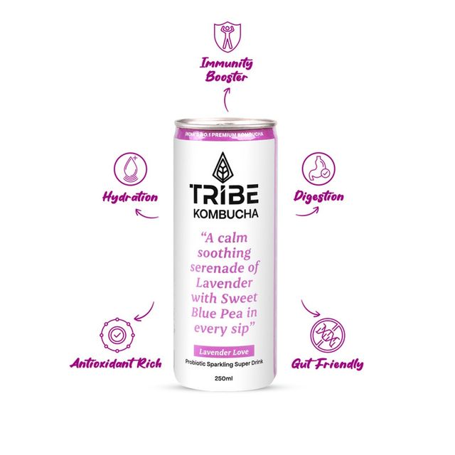 Tribe Kombucha Naturally Sparkling Probiotic Herbal Tea |Green Tea With Blue Pea & Lavender 250 ml X 2 Combo