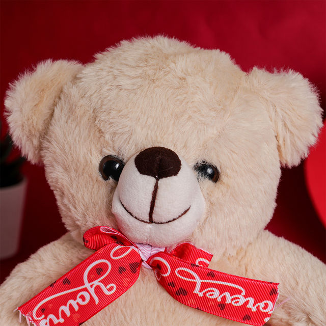 Oye Happy Mr Snuggle Bear