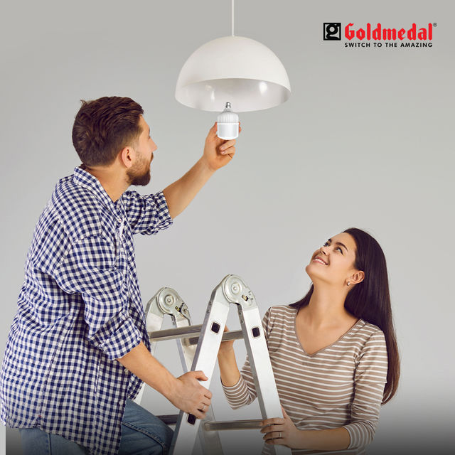 Goldmedal Thor 30W Led Bulb (Cool Daylight) | B22 Base Holder