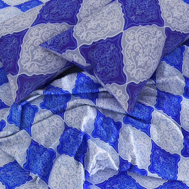 Romee Blue and White 160 TC 1 Queen Bedsheet with 2 Pillow Covers