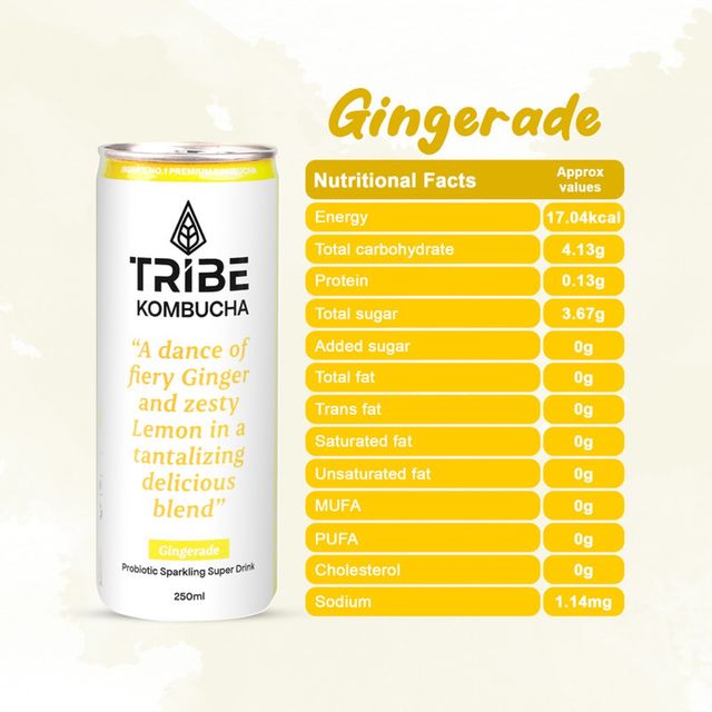 Tribe Naturally Sparkling Probiotic Green Tea With Ginger & Lemon Kombucha