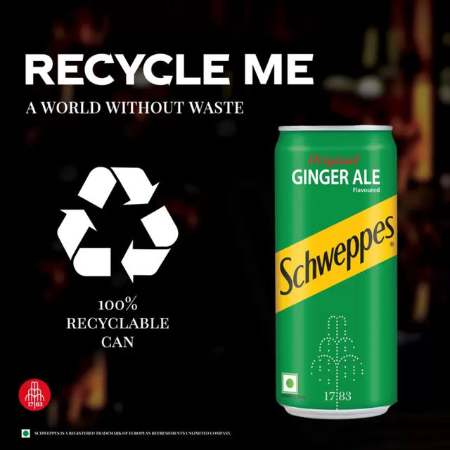 Schweppes Original Ginger Ale Can 300 ml Combo