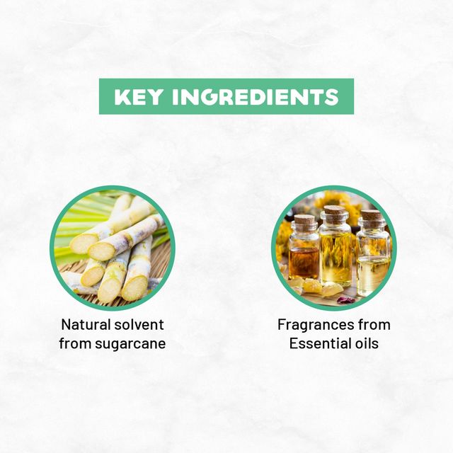 Born Good Air Freshener Spray For Home And Office | Plant Based | Biodegradable And Non-Toxic 500 ml X 2 Combo