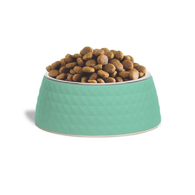 Zigly Lifestyle Retro Pyramid Dog Bowl - Sage (L)