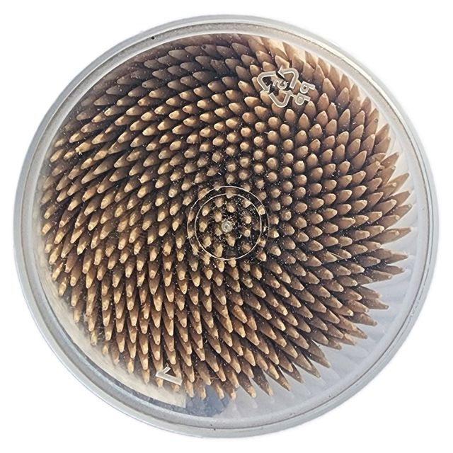 Nutips Premium Wooden Toothpick Jar