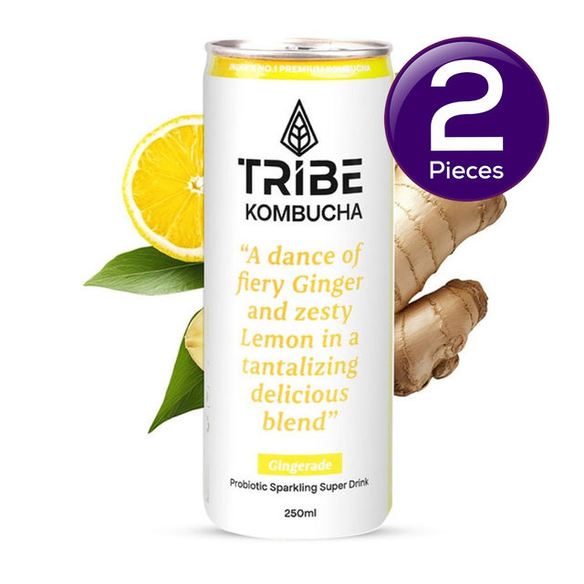 Tribe Kombucha Naturally Sparkling Probiotic Herbal Tea |Green Tea With Ginger & Lemon 250 ml X 2 Combo