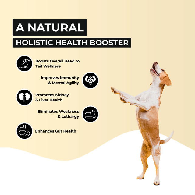 Fur Ball Story Supertonic Syrup, Ensures Head to Tail Wellness of Dogs & Cats