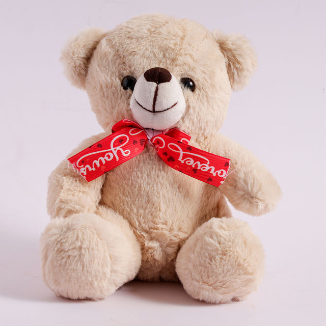 Oye Happy Mr Snuggle Bear