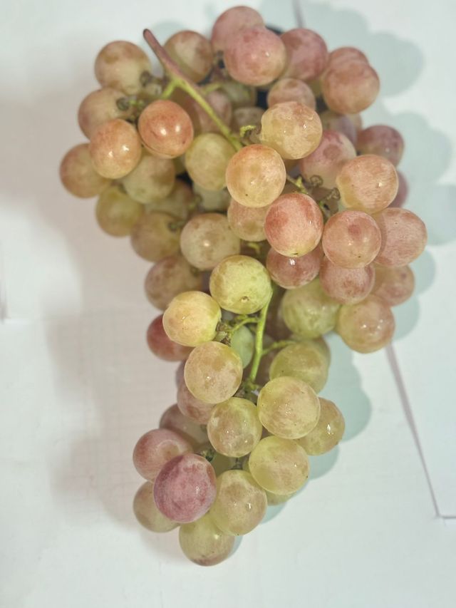 Grapes Red Globe Indian