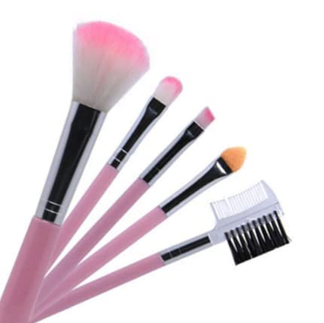 Make Up Brush 5 pc Set in Pouch