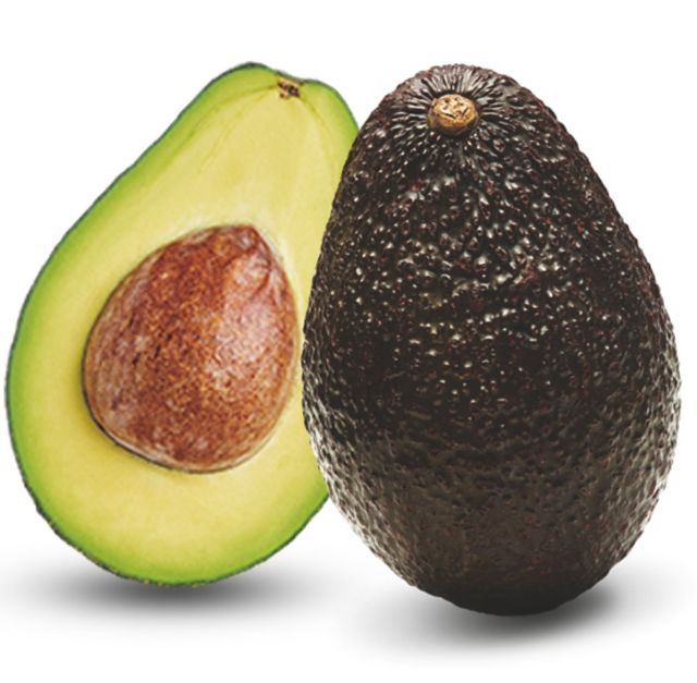 Australian Avocado