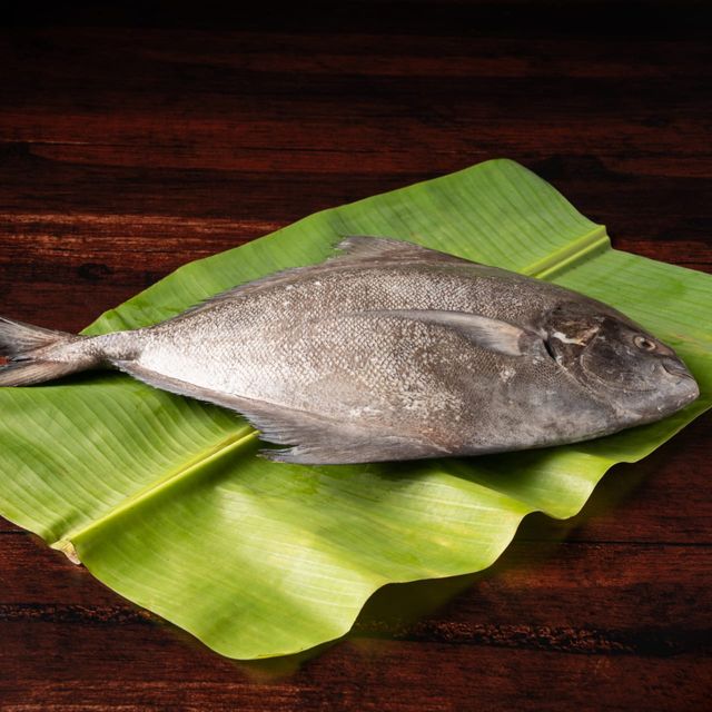 Relish Black Pomfret Steaks