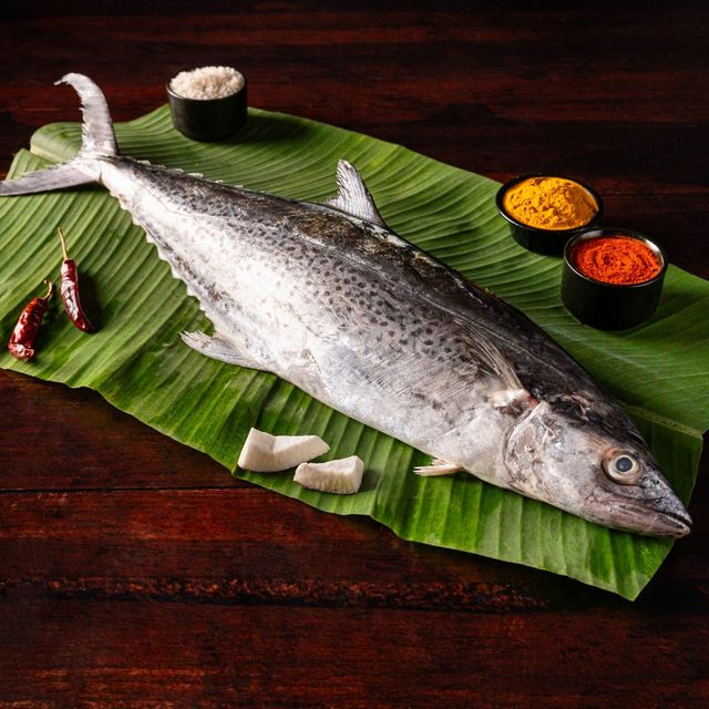 Relish Seer / Surmai / Anjal Medium Steaks