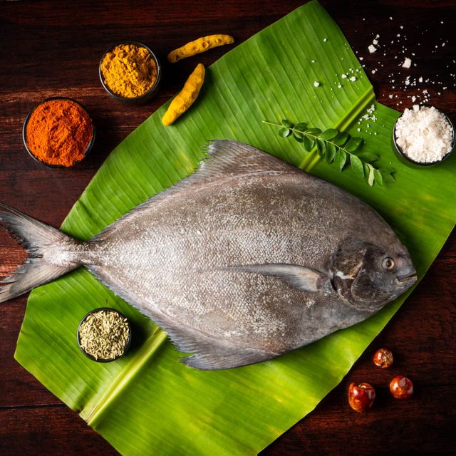 Relish Black Pomfret Steaks