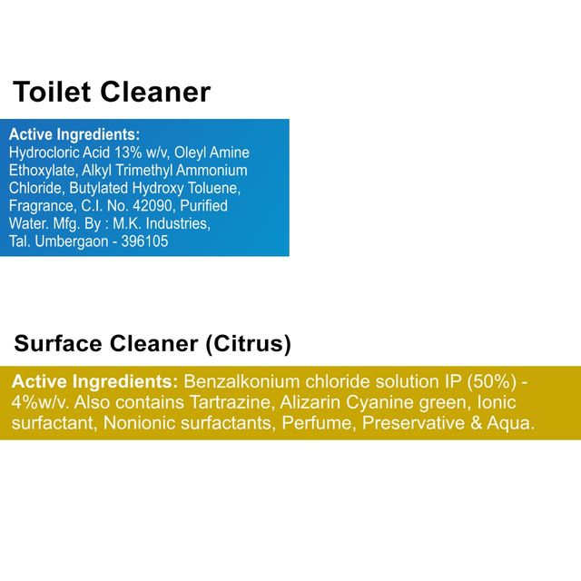 Dew Fresh Toilet Cleaner 1L + Citrus Surface & Floor Cleaner 1L (Combo Pack)(2l) & Gebi Sparkle Plus A Star Double Hockey Toilet Brush (Assorted)(1pc) Combo