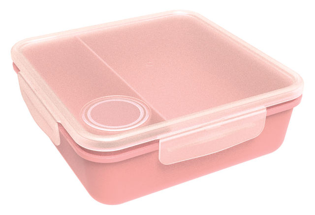 All Time Salad Lunch Box With Dip Container | 1450 ml (Colour May Vary)