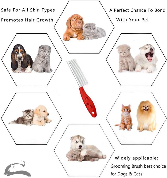 Papa Pawsome Single Sided Handle Comb