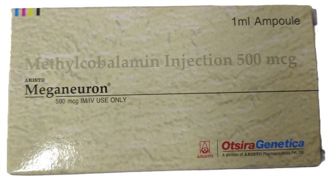 Meganeuron Injection