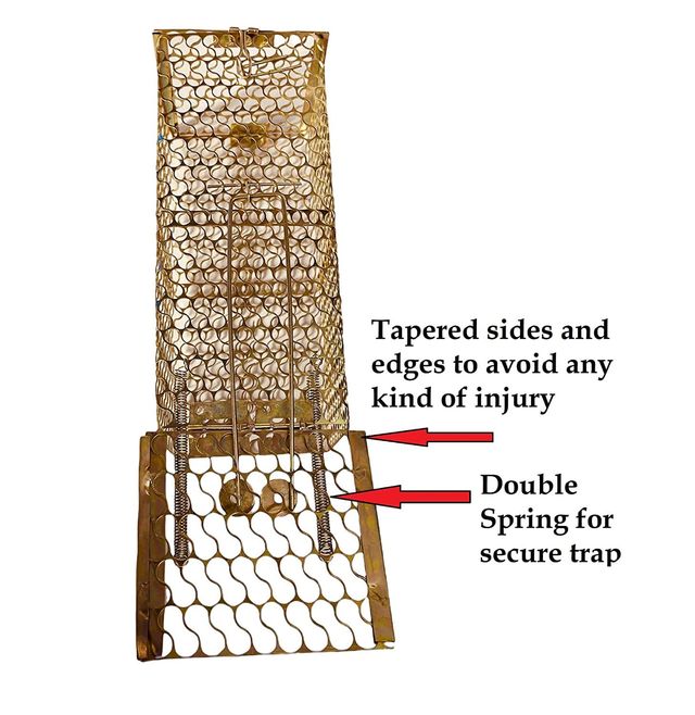 Homeharmony Rat/Mouse/Rodent Trap Cage Rustic Copper