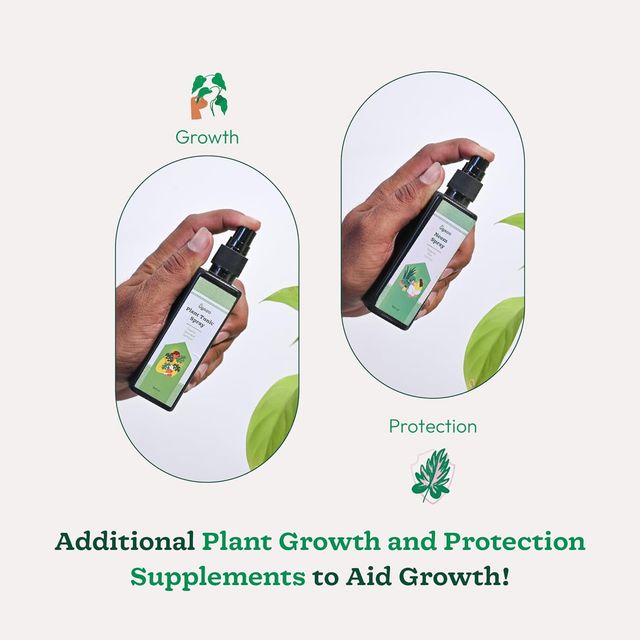 Ugaoo Indoor Gardening Tool Kit