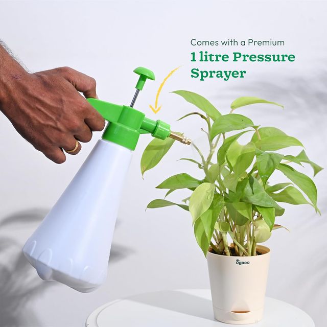 Ugaoo Indoor Gardening Tool Kit