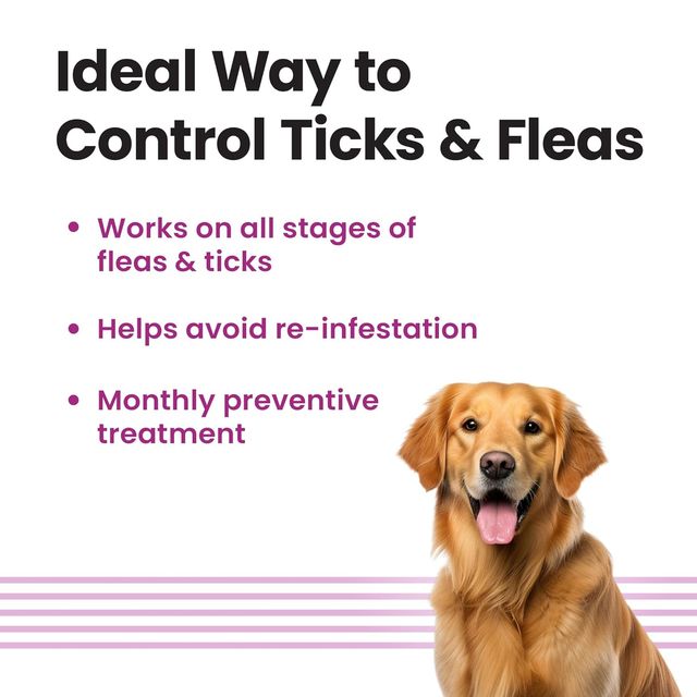 Vivaldis VI-FI Forte Spot On 2.68 ml | Fleas, Ticks & Lice | Fiproni  for dogs | 20-40 kgs 2.68 ml X 2 Combo