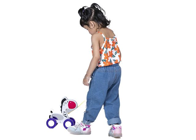 Toybharat Pulling Zebra |Multicolour | 3-6 Years Kids | Birthday Gift |Pull Along Toy