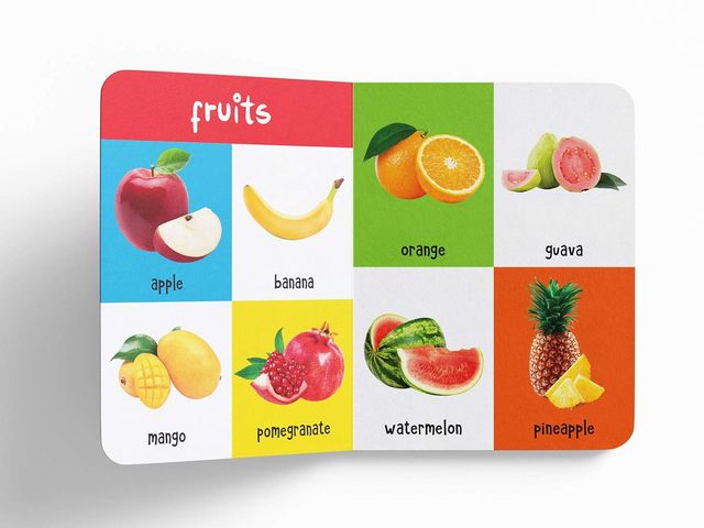 My First 100 Words- Padded Board Books