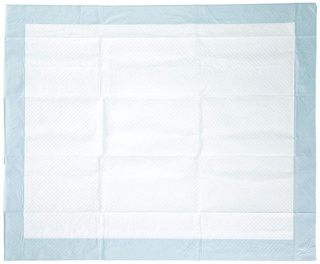 Nootie Training Pads(45X60)10Pcs