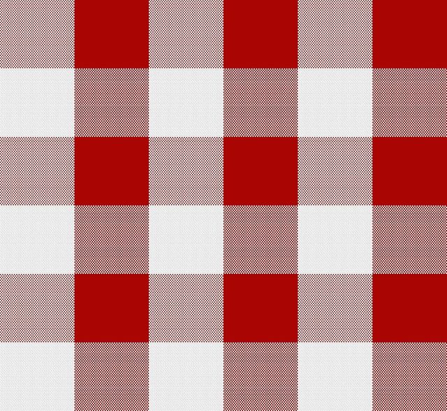 Lushomes Napkins - Red Buffalo Checks | 20 x 20 inch