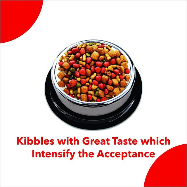 Active Puppy Chicken And Vegetables Dry Dog Food