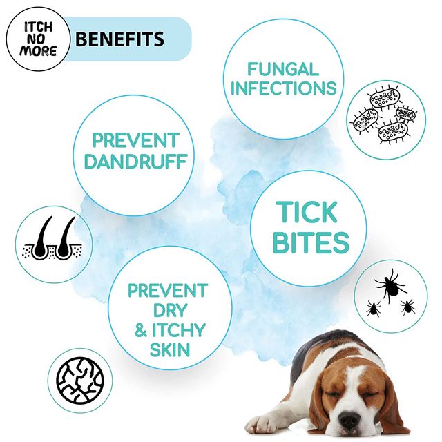 Papa Pawsome Itch No More Massage Oil for Dog