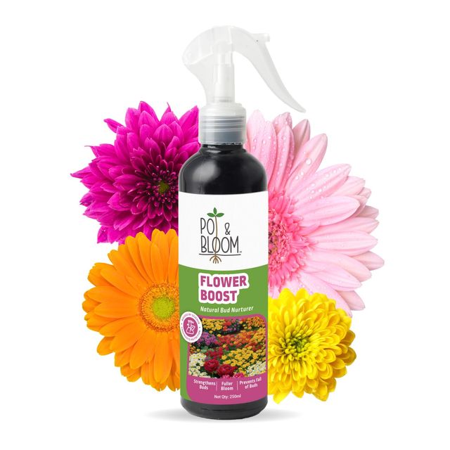 Pot And Bloom Flower Boost