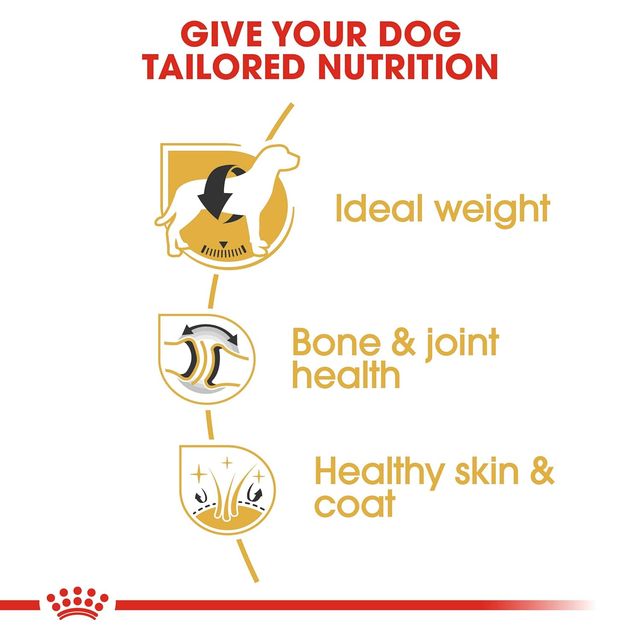 Royal Canin Labrador Adult Dog Dry Food