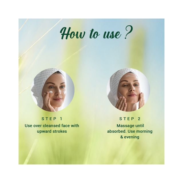 Biotique Wheatgerm Anti-Ageing Night Cream