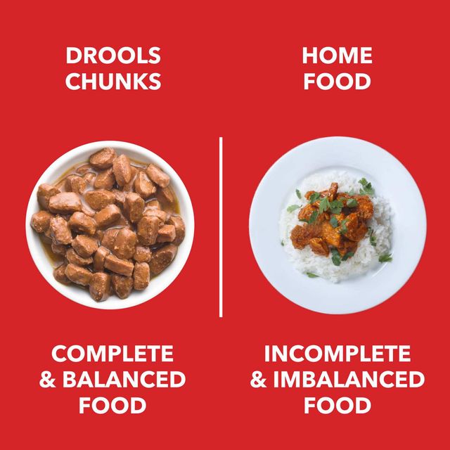 Drools Puppy Wet Dog Food Chicken And Chicken Liver Chunks In Gravy (10 + 2 Pouches Free)