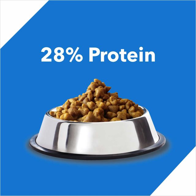 Drools Ocean Fish Adult Dry Cat Food